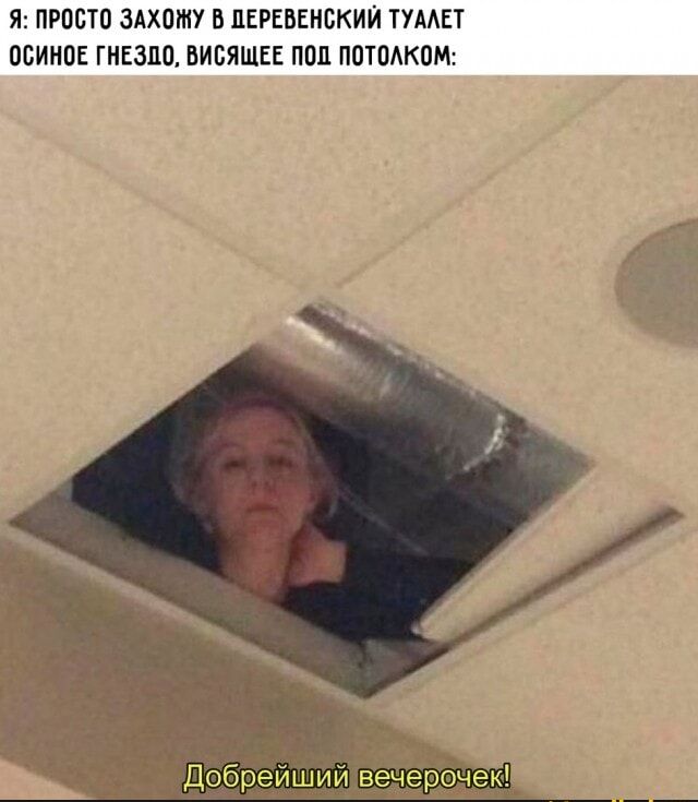 Я: ПРОСТО ЗАХОЖУ В ДЕРЕВЕНСКИЙ ТУАЛЕТ ОСИНОЕ ГНЕЗДО, ВИСЯЩЕЕ ПОД ПОТОЛКОМ: Добрейший вечерочек!