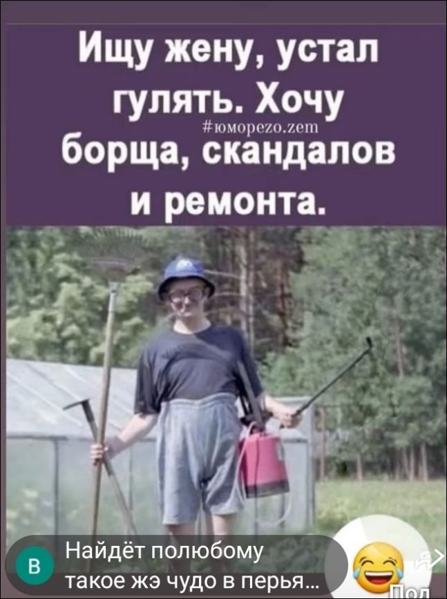 Ищу жену, устал гулять. Хочу борща, скандалов и ремонта. #юморезо.zem Найдёт полюбому такое же чудо в перьях...