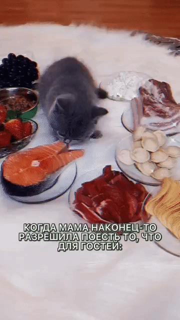 КОГДА МАМА НАКОНЕЦ-ТО РАЗРЕШИЛА ПОЕСТЬ ТО, ЧТО ДЛЯ ГОСТЕЙ: