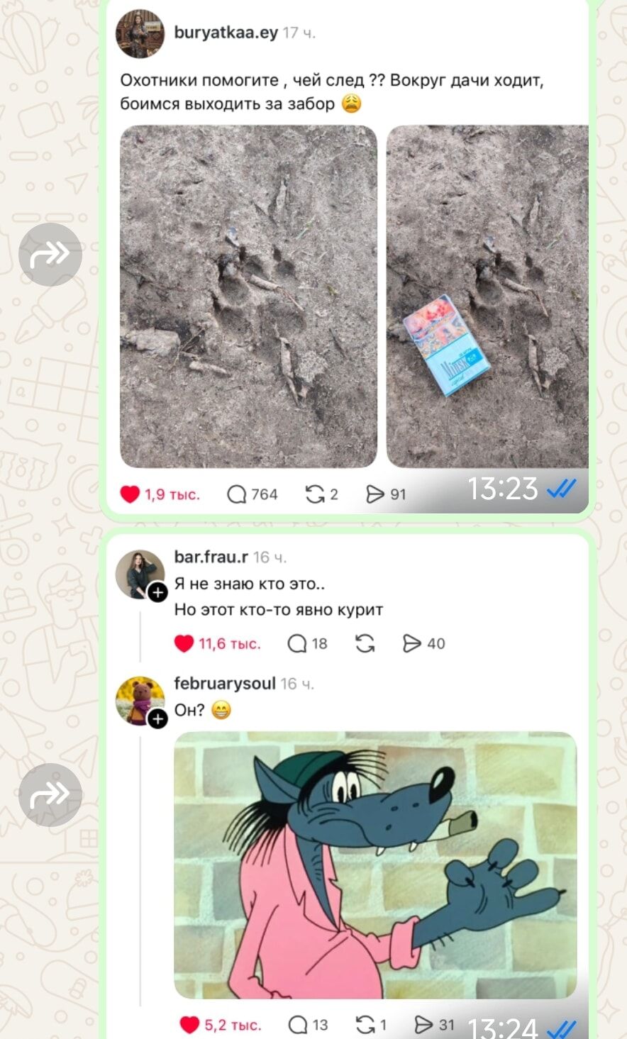 Охотники помогите, чей след ?? Вокруг дачи ходит, боимся выходить за забор. Я не знаю кто это.. Но этот кто-то явно курит. Он?