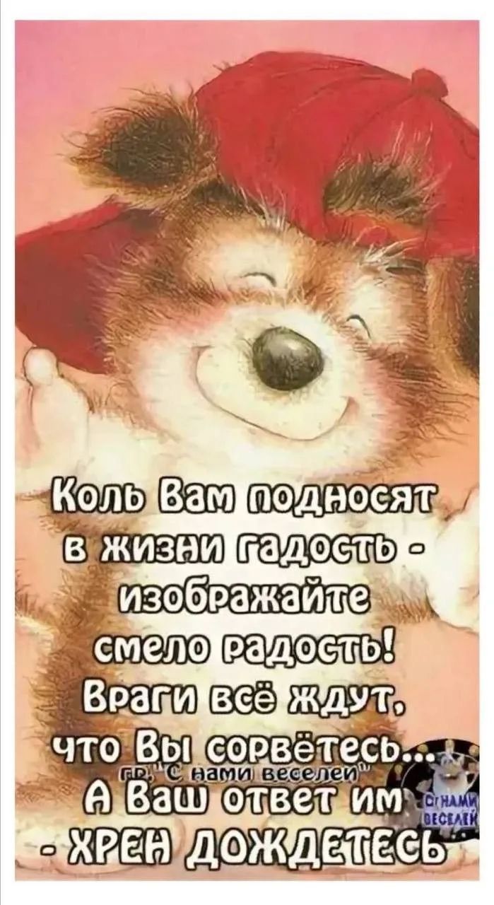 Коль Вам подносят в жизни гадость - изображайте смело радость! Враги всё ждут, что Вы сорвётесь... А Ваш ответ им - хрен дождетесь. Гр. 