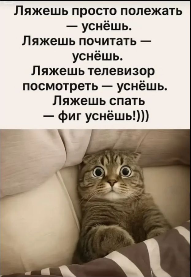 Ляжешь просто полежать — уснёшь. Ляжешь почитать — уснёшь. Ляжешь телевизор посмотреть — уснёшь. Ляжешь спать — фиг уснёшь!)))