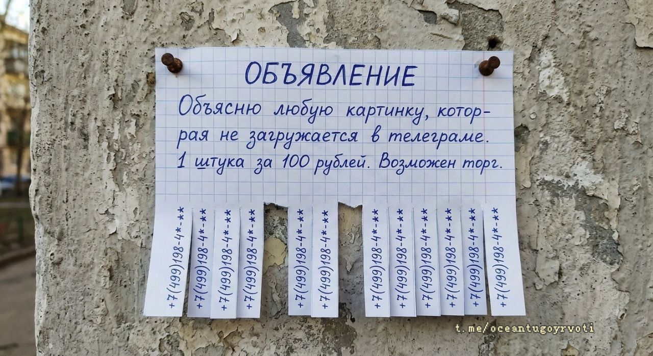 ОБЪЯВЛЕНИЕ Объясню любую картинку, которая не загружается в телеграме. 1 штука за 100 рублей. Возможен торг. +7 (499) 198-4-** t.me/oceantugoyrvoti