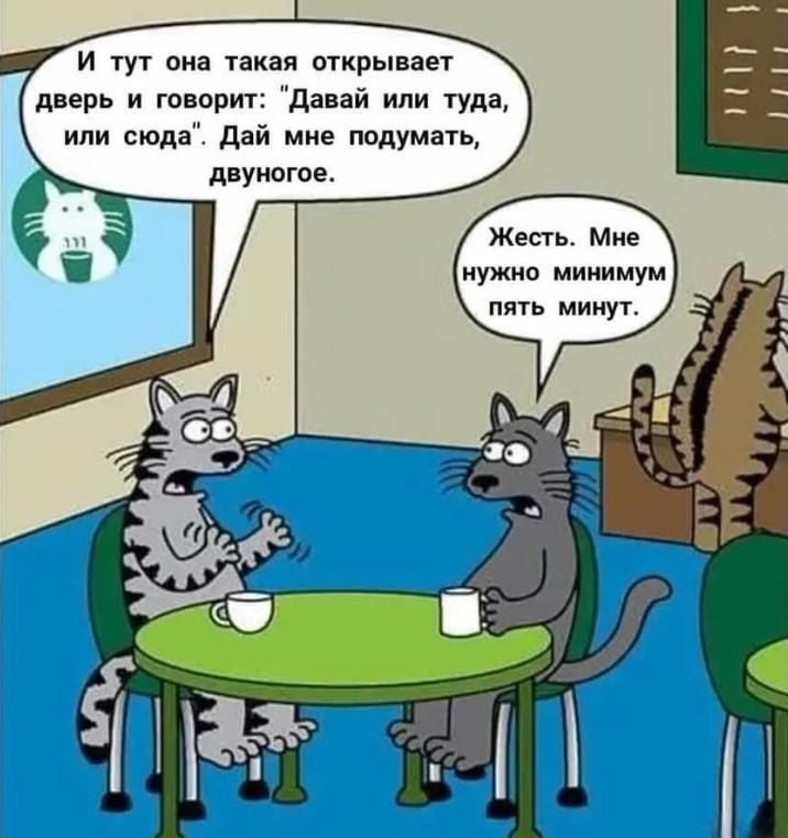 И тут она такая открывает дверь и говорит: 