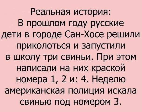 Реальная история: В прошлом году русские дети в городе Сан-Хосе решили приколоться и запустили в школу три свиньи. При этом написали на них краской номера 1, 2 и: 4. Неделю американская полиция искала свинью под номером 3.