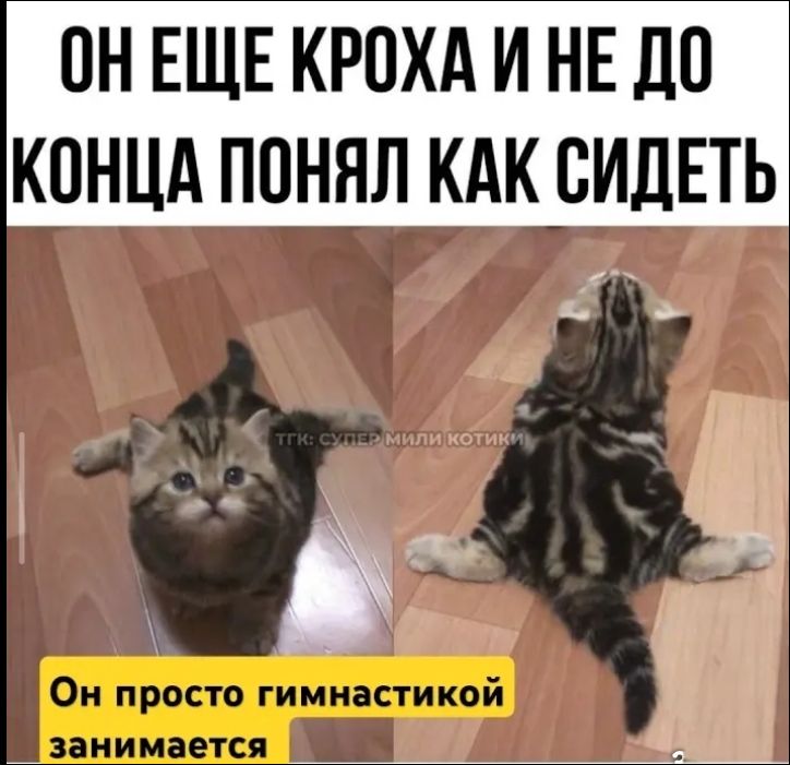 ОН ЕЩЕ КРОХА И НЕ ДО КОНЦА ПОНЯЛ КАК СИДЕТЬ Он просто гимнастикой занимается