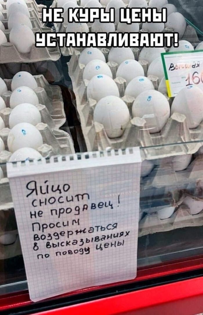 НЕ КУРЫ ЦЕНЫ УСТАНАВЛИВАЮТ! Яйцо сносит не продавец! Просим воздержаться в высказываниях по поводу цены. Высшая 160