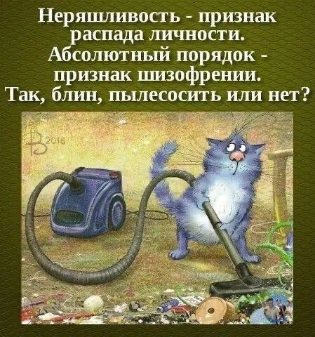 Неряшливость - признак распада личности. Абсолютный порядок - признак шизофрении. Так, блин, пылесосить или нет?