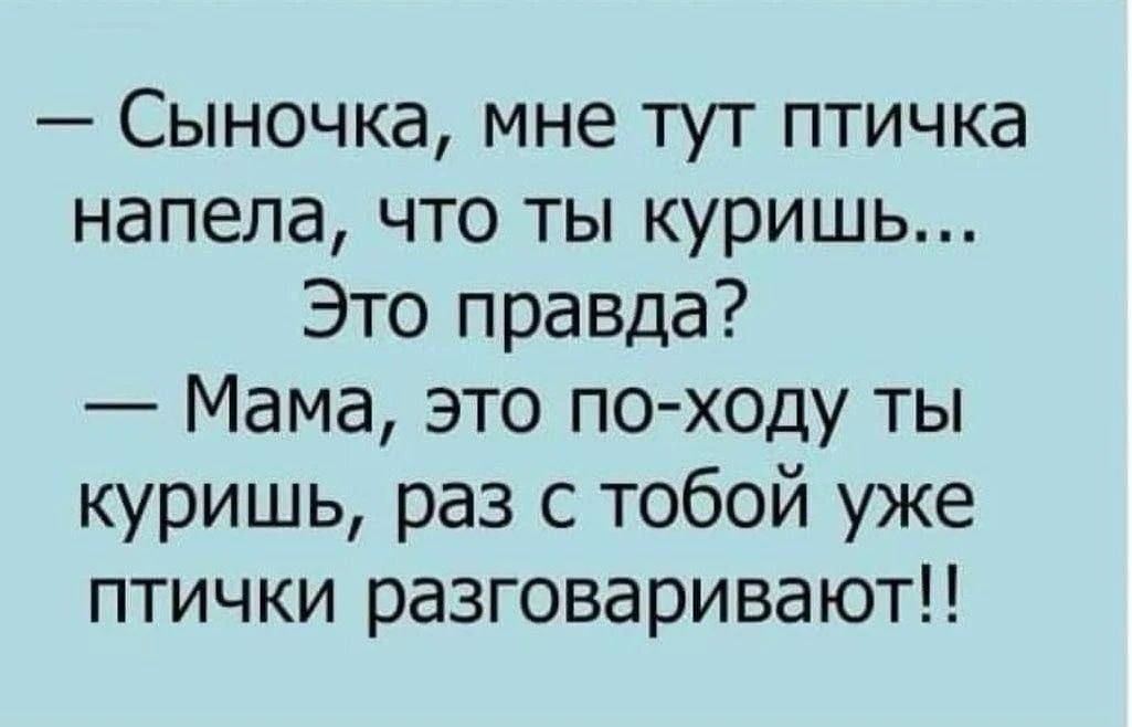 — Сыночка, мне тут птичка напела, что ты куришь... Это правда? — Мама, это по-ходу ты куришь, раз с тобой уже птички разговаривают!!