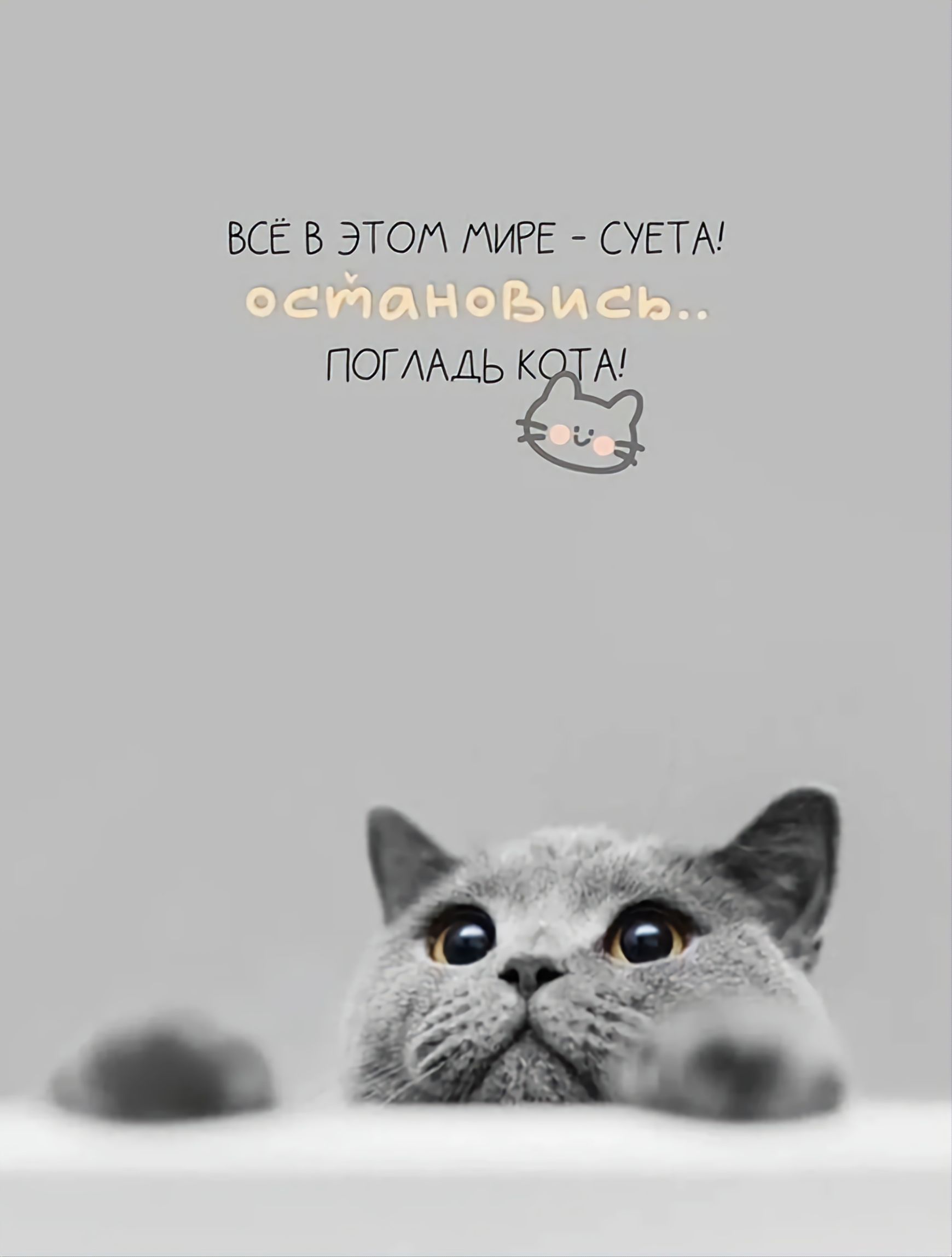 ВСЁ В ЭТОМ МИРЕ - СУЕТА! ОСТАНОВИСЬ.. ПОГЛАДЬ КОТА!