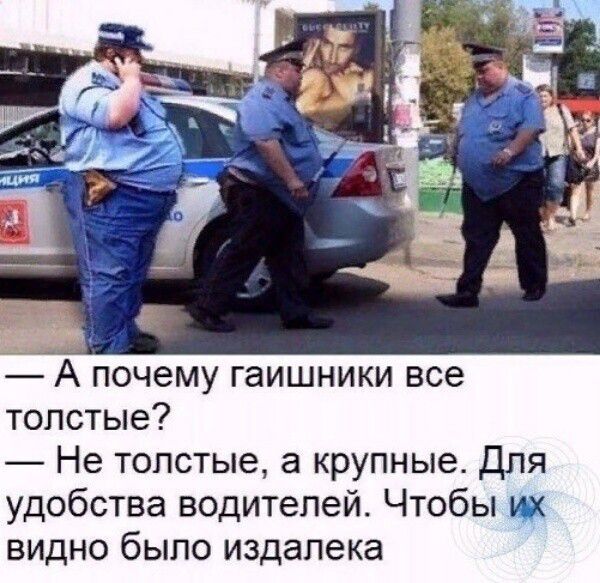 А почему гаишники все толстые? — Не толстые, а крупные. Для удобства водителей. Чтобы их видно было издалека