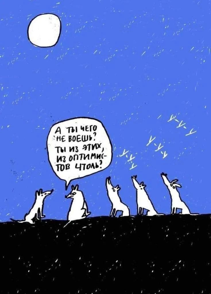 А ты чего не воешь? Ты из этих, из оптимистов чтоль? у-у-у