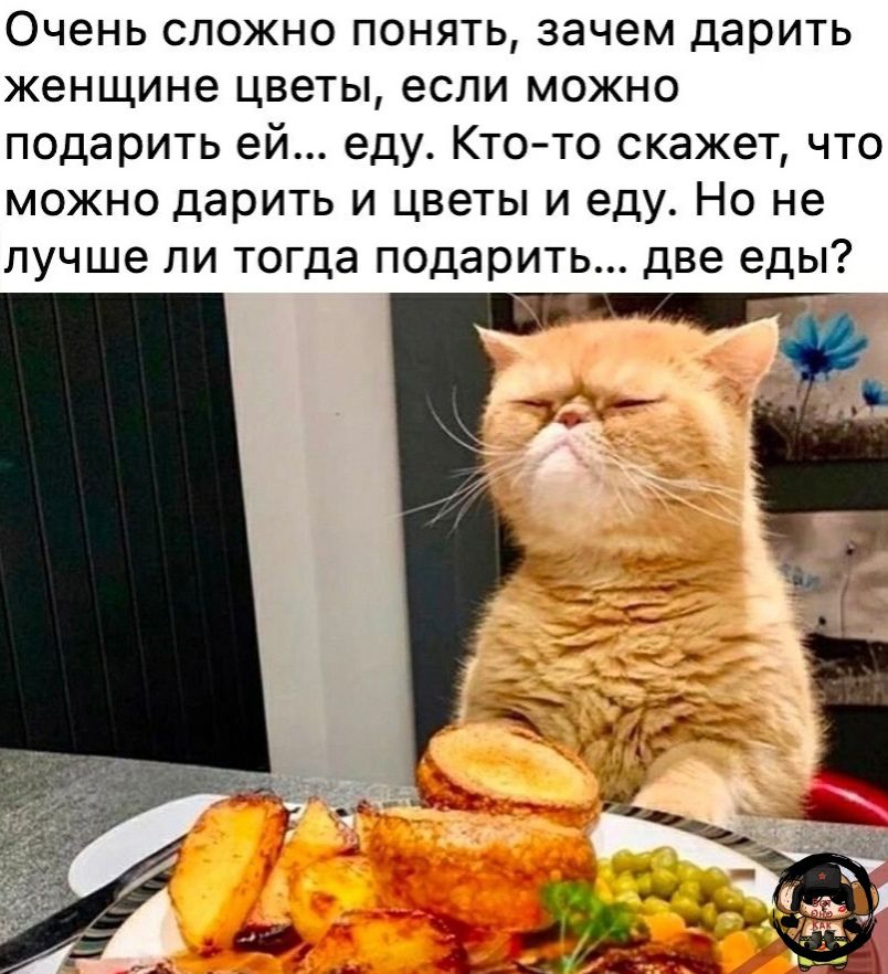 Очень сложно понять, зачем дарить женщине цветы, если можно подарить ей... еду. Кто-то скажет, что можно дарить и цветы и еду. Но не лучше ли тогда подарить... две еды?