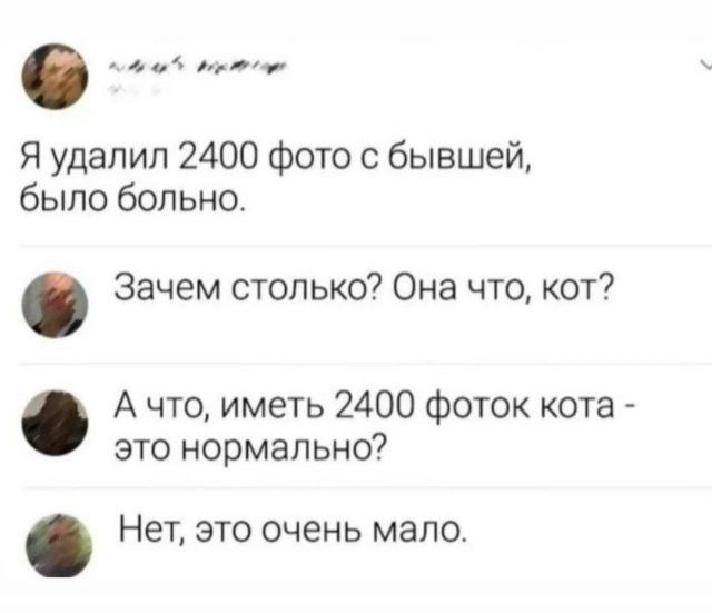 Я удалил 2400 фото с бывшей, было больно. Зачем столько? Она что, кот? А что, иметь 2400 фоток кота - это нормально? Нет, это очень мало.