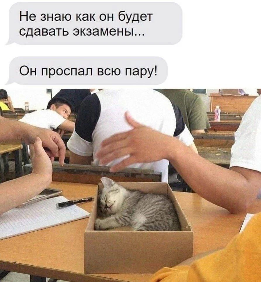 Не знаю как он будет сдавать экзамены... Он проспал всю пару!