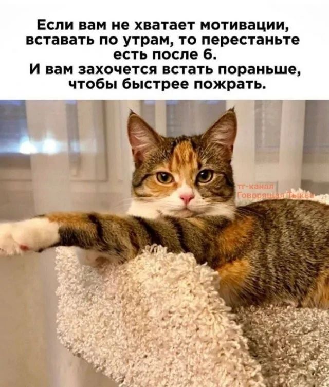 Если вам не хватает мотивации, вставать по утрам, то перестаньте есть после 6. И вам захочется встать пораньше, чтобы быстрее пожрать.