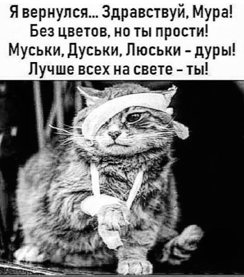 Я вернулся... Здравствуй, Мура! Без цветов, но ты прости! Муськи, Дуськи, Люськи - дуры! Лучше всех на свете - ты!