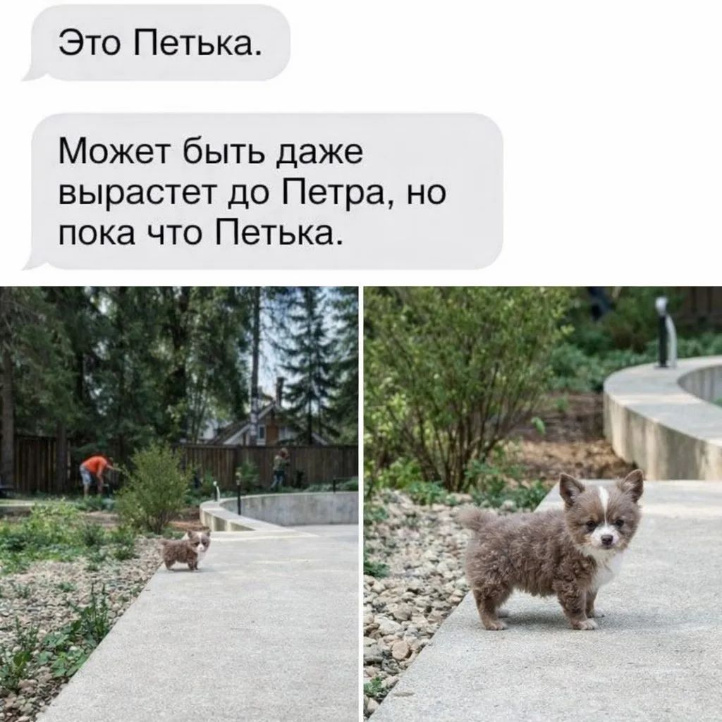 Это Петька. Может быть даже вырастет до Петра, но пока что Петька.