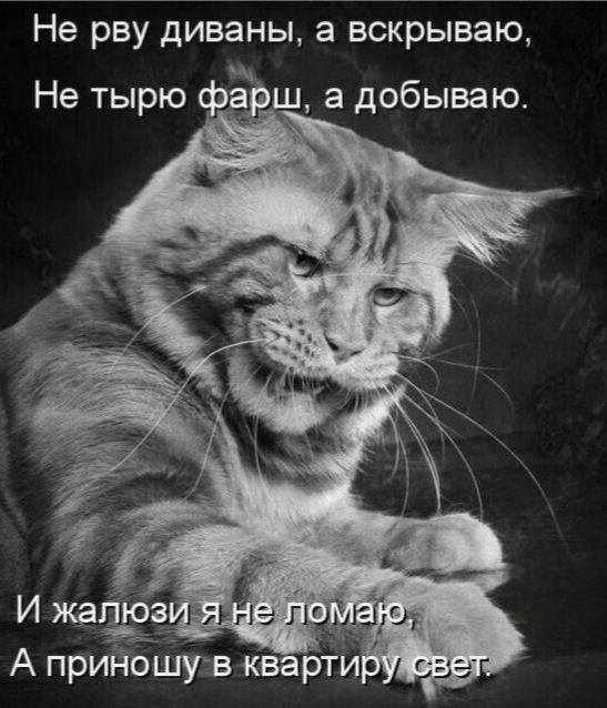 Не рву диваны, а вскрываю, Не тырю фарш, а добываю. И жалюзи я не ломаю, А приношу в квартиру свет.