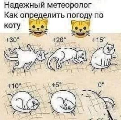 Надежный метеоролог. Как определить погоду по коту. +30°, +20°, +15°, +10°, +5°, 0°.