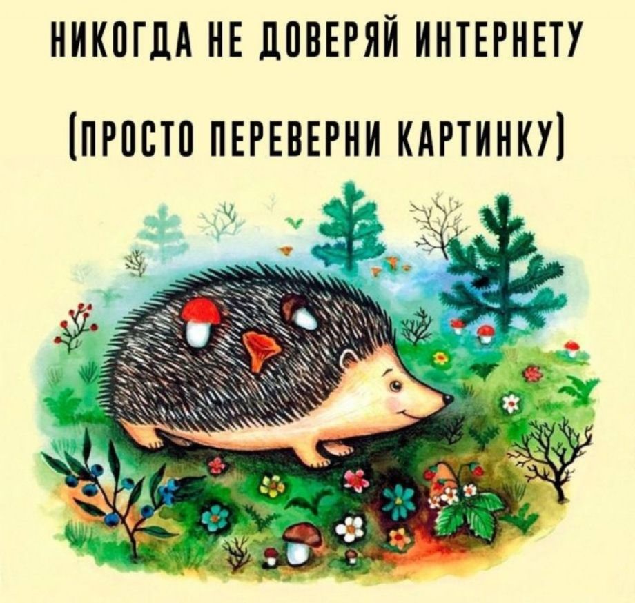 НИКОГДА НЕ ДОВЕРЯЙ ИНТЕРНЕТУ (ПРОСТО ПЕРЕВЕРНИ КАРТИНКУ)