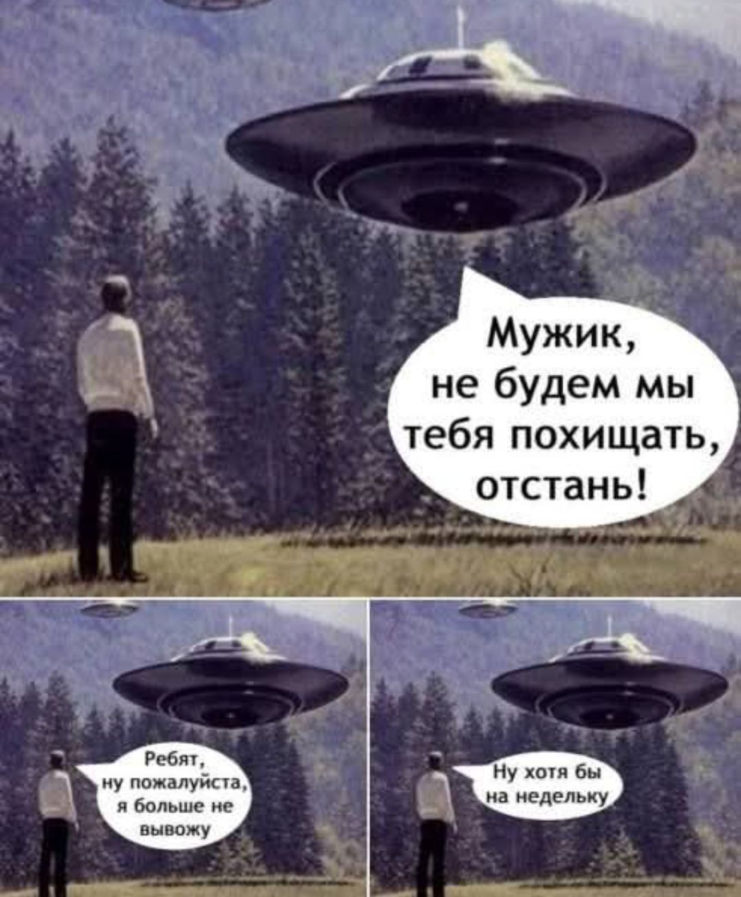 Мужик, не будем мы тебя похищать, отстань! Ребят, ну пожалуйста, я больше не вывожу Ну хотя бы на недельку