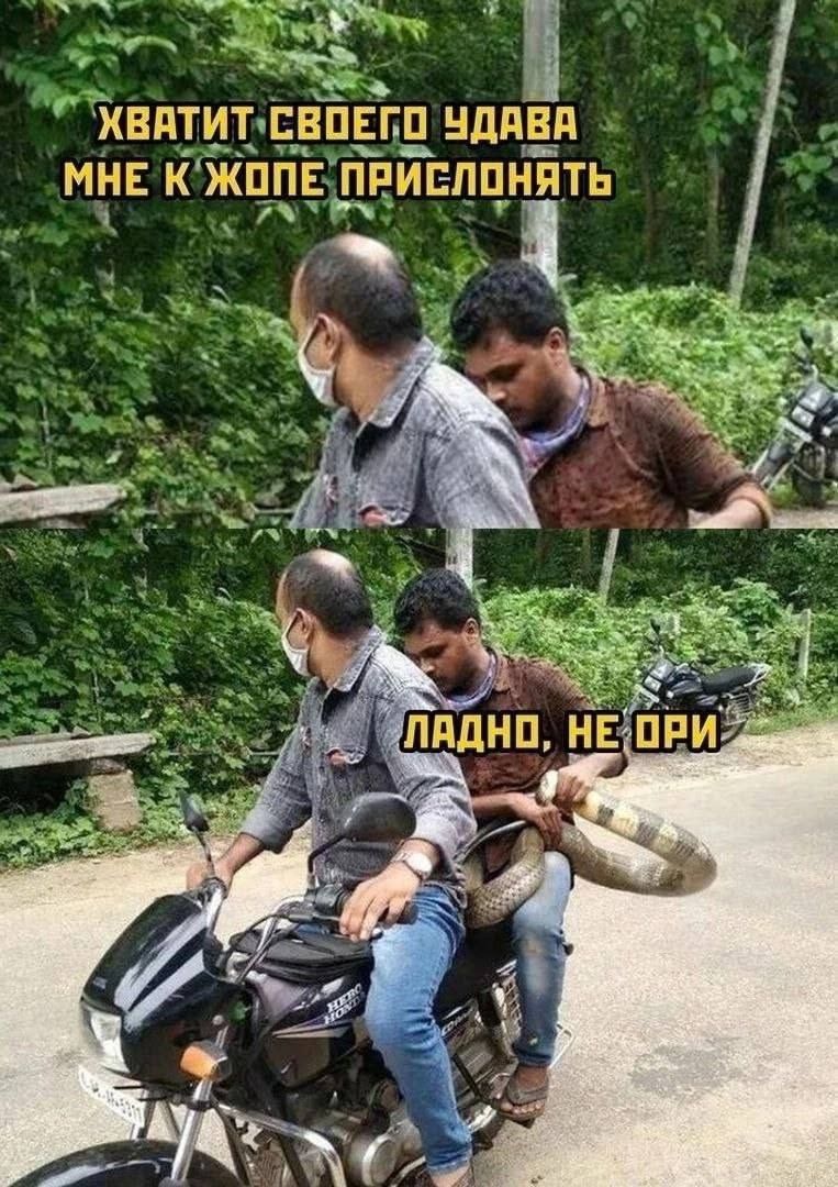 ХВАТИТ СВОЕГО УДАВА МНЕ К ЖОПЕ ПРИСЛОНЯТЬ. ЛАДНО, НЕ ОРИ.