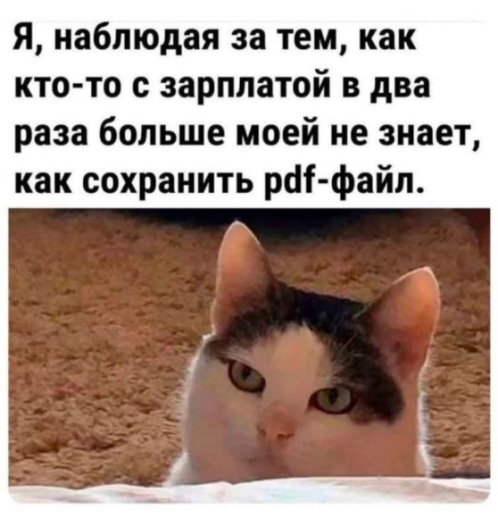 Я, наблюдая за тем, как кто-то с зарплатой в два раза больше моей не знает, как сохранить pdf-файл.