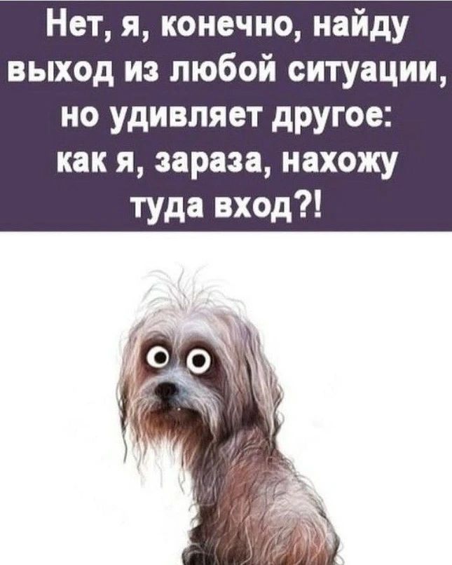 Нет, я, конечно, найду выход из любой ситуации, но удивляет другое: как я, зараза, нахожу туда вход?!