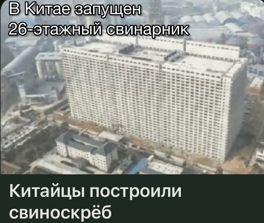 В Китае запущен 26-этажный свинарник. Китайцы построили свиноскрёб.