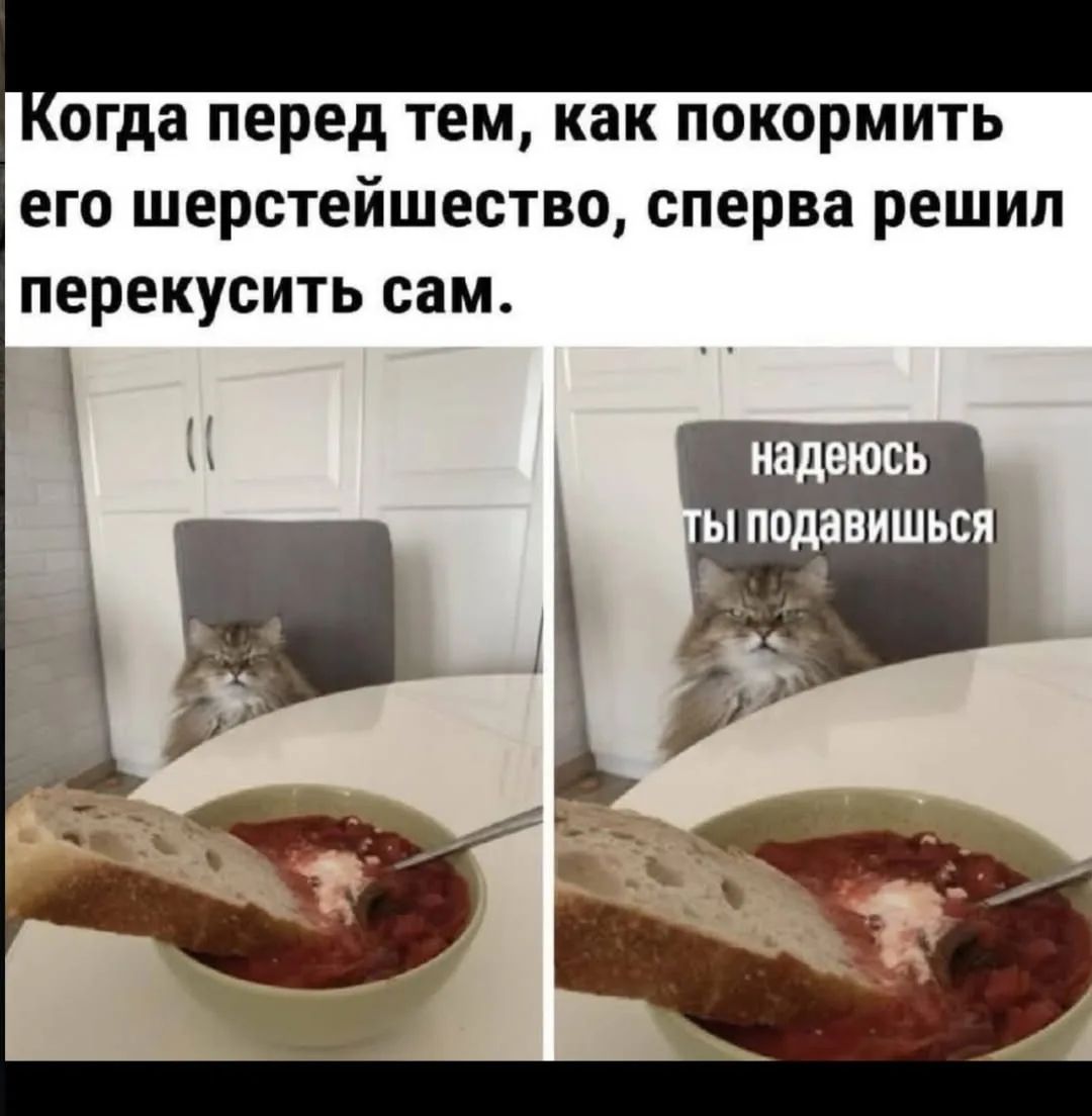 Когда перед тем, как покормить его шерстейшество, сперва решил перекусить сам. надеюсь ты подавишься