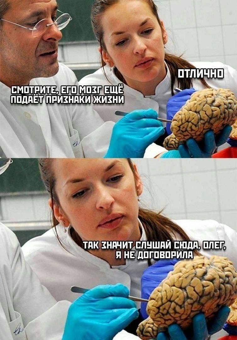 СМОТРИТЕ, ЕГО МОЗГ ЕЩЁ ПОДАЁТ ПРИЗНАКИ ЖИЗНИ ОТЛИЧНО ТАК ЗНАЧИТ, СЛУШАЙ СЮДА, ОЛЕГ, Я НЕ ДОГОВОРИЛА