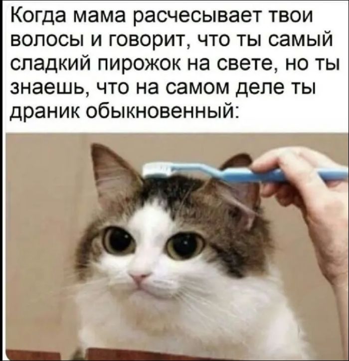 Когда мама расчесывает твои волосы и говорит, что ты самый сладкий пирожок на свете, но ты знаешь, что на самом деле ты драник обыкновенный: