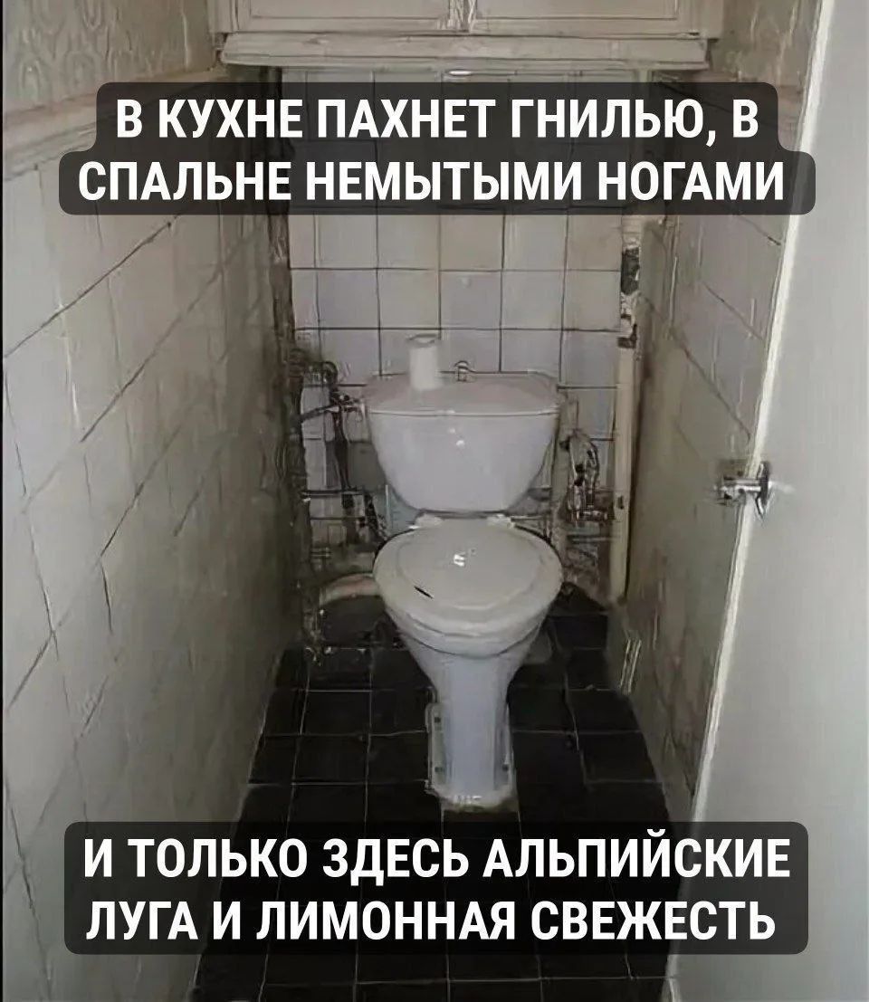 В кухне пахнет гнилью, в спальне немытыми ногами. И только здесь альпийские луга и лимонная свежесть.
