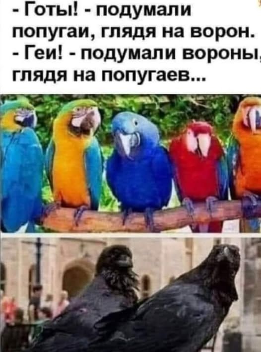 Готы! - подумали попугаи, глядя на ворон. Геи! - подумали вороны, глядя на попугаев...