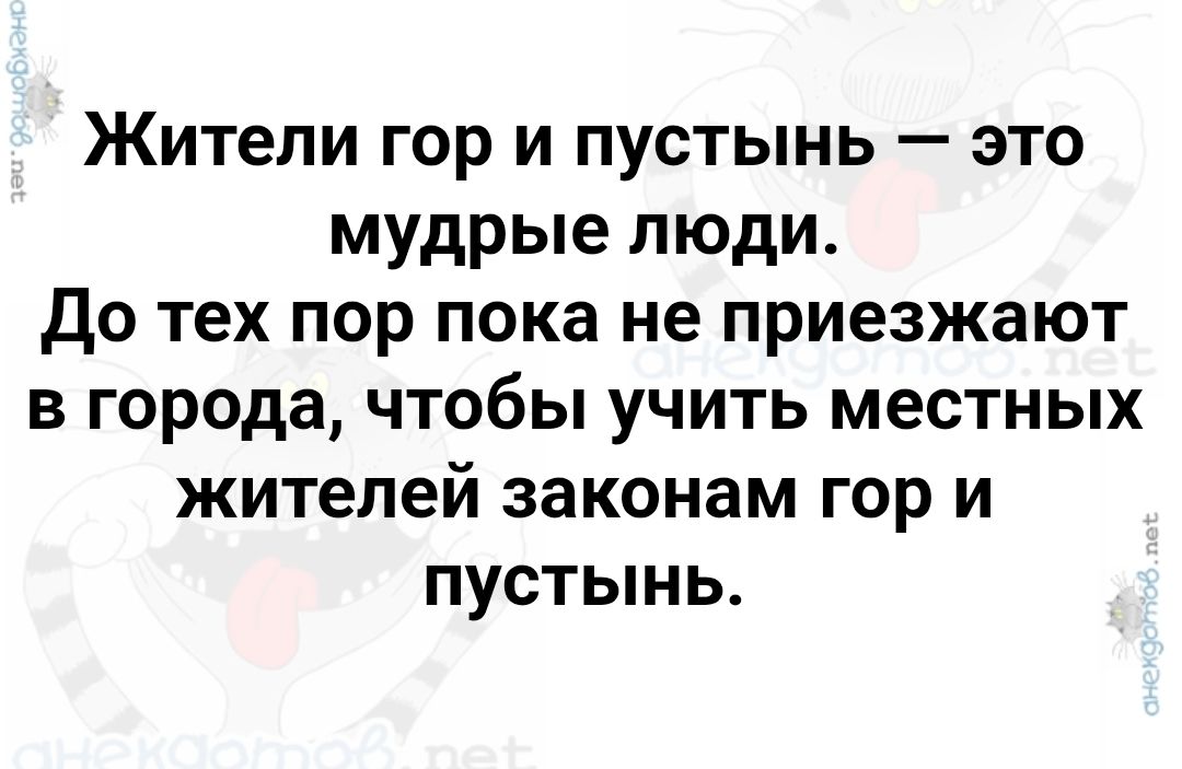 Жители гор и пустынь — это мудрые люди. До тех пор пока не приезжают в города, чтобы учить местных жителей законам гор и пустынь.