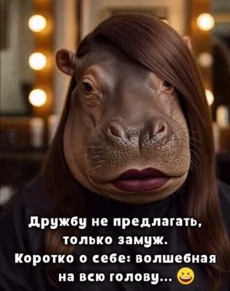ДРУЖБУ НЕ ПРЕДЛАГАТЬ, ТОЛЬКО ЗАМУЖ. Коротко о себе: волшебная на всю голову... 😉
