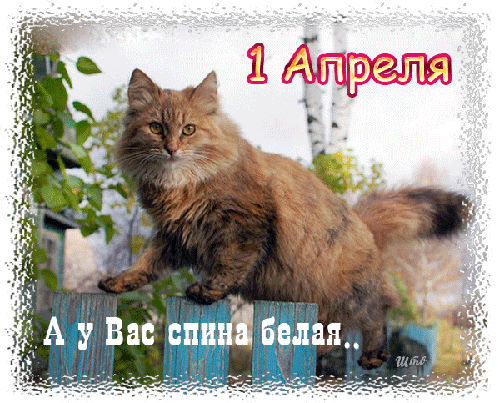 1 Апреля А у Вас спина белая..