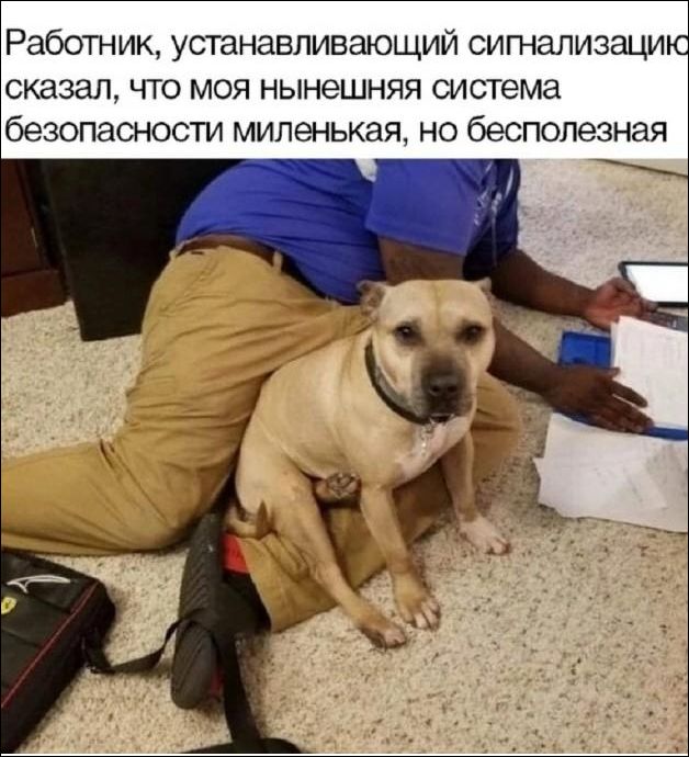 Работник, устанавливающий сигнализацию, сказал, что моя нынешняя система безопасности миленькая, но бесполезная