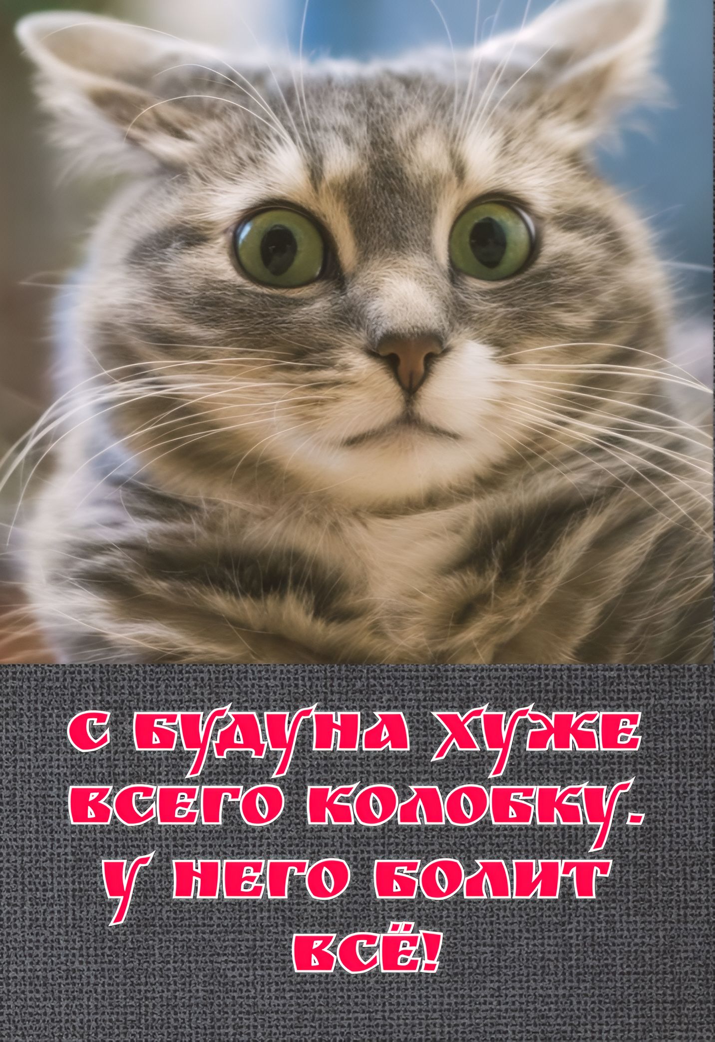 С будуна хуже всего Колобку. У него болит всё!