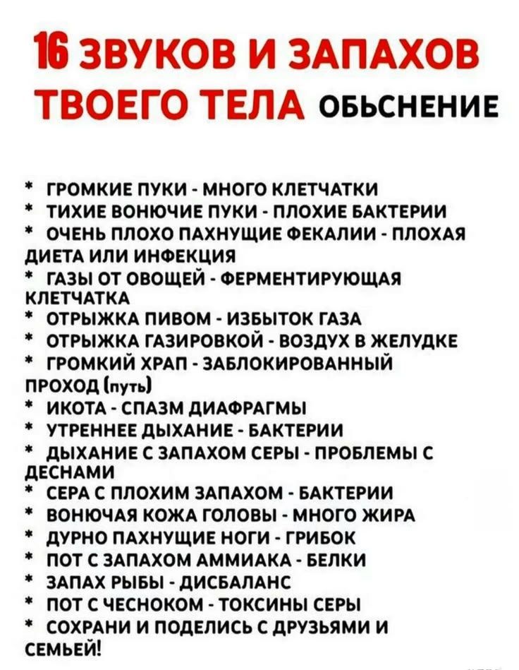16 ЗВУКОВ И ЗАПАХОВ ТВОЕГО ТЕЛА ОБЪЯСНЕНИЕ
* ГРОМКИЕ ПУКИ - МНОГО КЛЕТЧАТКИ
* ТИХИЕ ВОНЮЧИЕ ПУКИ - ПЛОХИЕ БАКТЕРИИ
* ОЧЕНЬ ПЛОХО ПАХНУЩИЕ ФЕКАЛИИ - ПЛОХАЯ ДИЕТА ИЛИ ИНФЕКЦИЯ
* ГАЗЫ ОТ ОВОЩЕЙ - ФЕРМЕНТИРУЮЩАЯ КЛЕТЧАТКА
* ОТРЫЖКА ПИВОМ - ИЗБЫТОК ГАЗА
* ОТРЫЖКА ГАЗИРОВКОЙ - ВОЗДУХ В ЖЕЛУДКЕ
* ГРОМКИЙ ХРАП - ЗАБЛОКИРОВАННЫЙ ПРОХОД (ПУТЬ)
* ИКОТА - СПАЗ