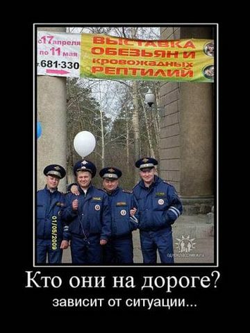 17 апреля по 11 мая 681-330 ВЫСТАВКА ОБЕЗЬЯН И КРОВОЖАДНЫХ РЕПТИЛИЙ 01/06/2009 Кто они на дороге? зависит от ситуации...