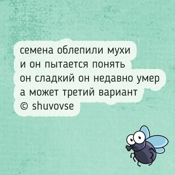 семена облепили мухи и он пытается понять он сладкий он недавно умер а может третий вариант © shuvovse