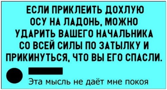 ЕСЛИ ПРИКЛЕИТЬ ДОХЛУЮ ОСУ НА ЛАДОНЬ, МОЖНО УДАРИТЬ ВАШЕГО НАЧАЛЬНИКА СО ВСЕЙ СИЛЫ ПО ЗАТЫЛКУ И ПРИКИНУТЬСЯ, ЧТО ВЫ ЕГО СПАСЛИ. Эта мысль не дает мне покоя