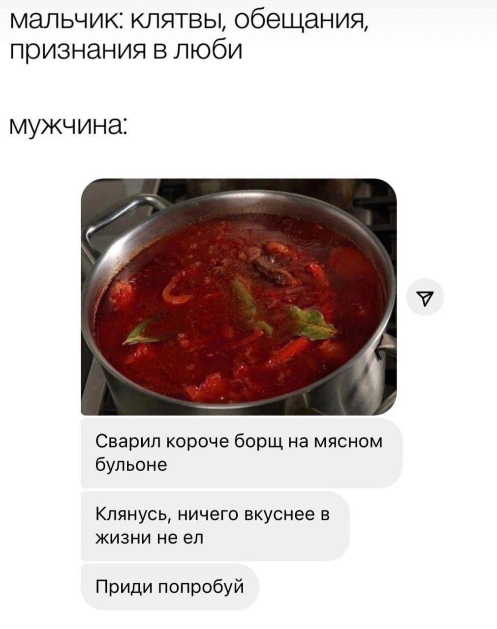 МАЛЬЧИК: КЛЯТВЫ, ОБЕЩАНИЯ, ПРИЗНАНИЯ В ЛЮБВИ МУЖЧИНА: Сварил короче борщ на мясном бульоне Клянусь, ничего вкуснее в жизни не ел Приди попробуй