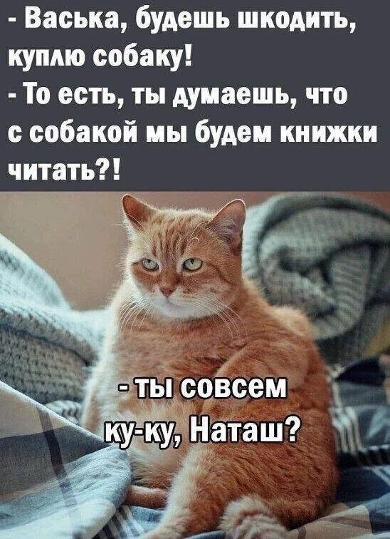 - Васька, будешь шкодить, куплю собаку!
- То есть, ты думаешь, что с собакой мы будем книжки читать?!
- Ты совсем ку-ку, Наташ?