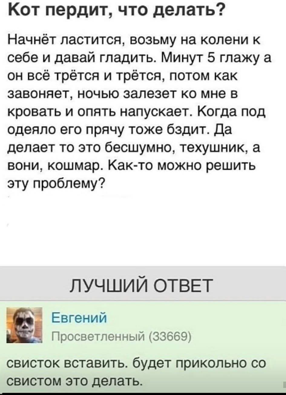 Кот пердит, что делать? Начнёт ластиться, возьму на колени к себе и давай гладить. Минут 5 глажу а он всё трётся и трётся, потом как завоняет, ночью залезет ко мне в кровать и опять напускает. Когда под одеяло его прячу тоже бздит. Да делает то это бесшумно, техушник, а вони, кошмар. Как-то можно решить эту проблему? ЛУЧШИЙ ОТВЕТ Евгений Просветлен