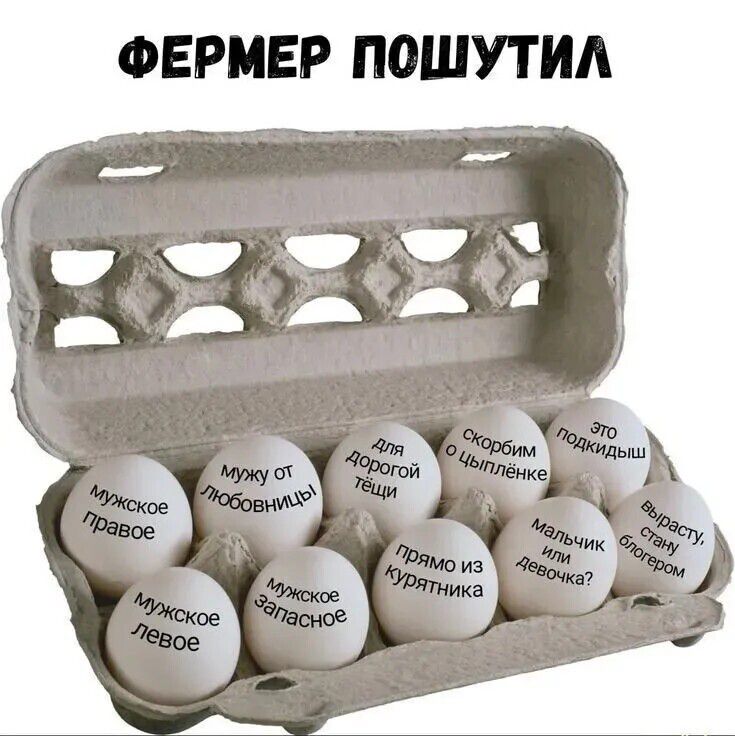 ФЕРМЕР ПОШУТИЛ Мужское правое Мужу от любовницы Для дорогой тёщи Скорбим о цыплёнке Это подкидыш Мужское левое Мужское запасное Прямо из курятника Мальчик или девочка? Вырасту, стану блогером