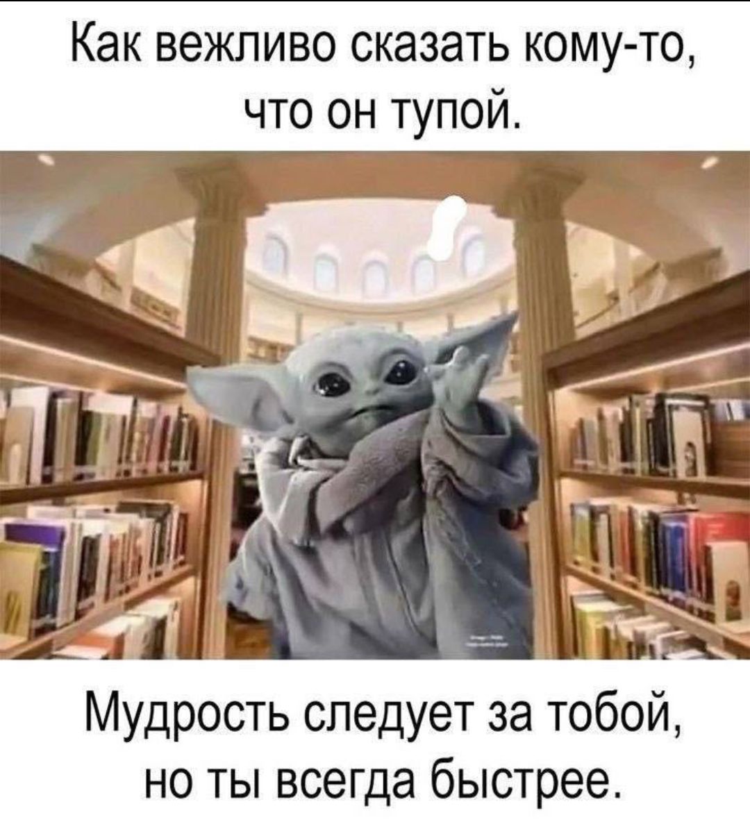 Как вежливо сказать кому-то, что он тупой. Мудрость следует за тобой, но ты всегда быстрее.
