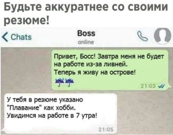 Будьте аккуратнее со своими резюме! Привет, Босс! Завтра меня не будет на работе из-за ливней. Теперь я живу на острове! У тебя в резюме указано 